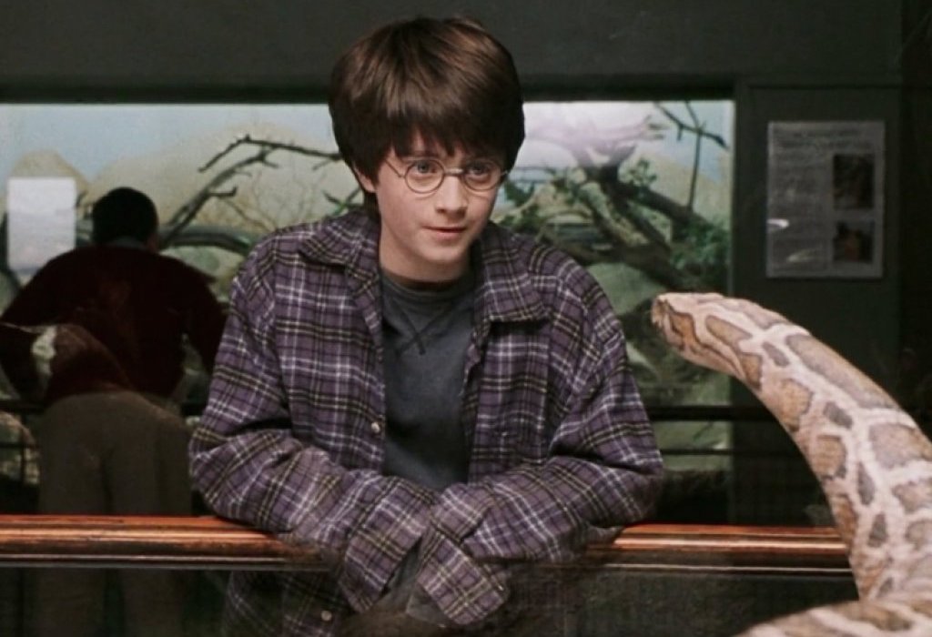 Harry Potter, a Python Interpreter