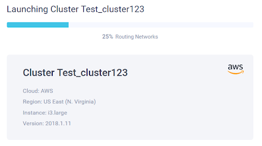 Launching Cluster
