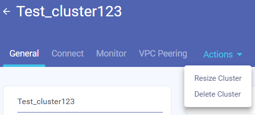 Resize Cluster / Delete Cluster